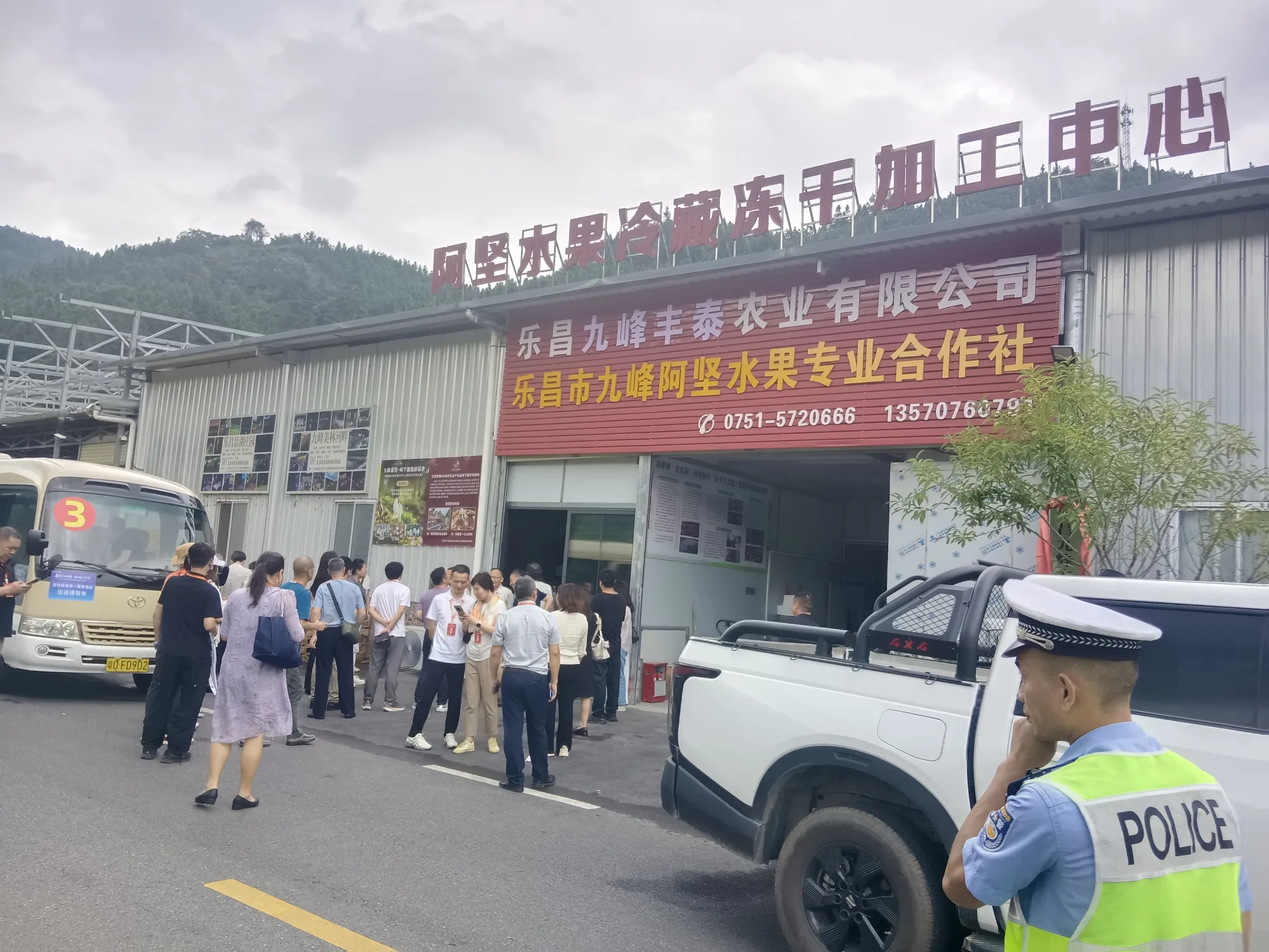 文章图片